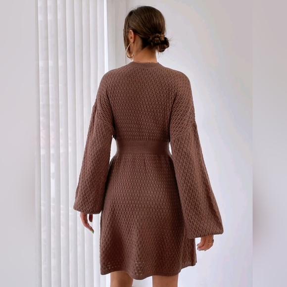 Lantern Sleeve Sweater Dress Without Belt - Picture 3 of 4